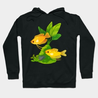 Freshwater fish and plants - Gourami Hoodie